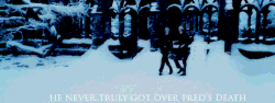 a73c7298f9b6294dcf9df5a955cd5bf8.gif