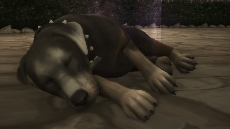 2e400fb70d5a912a1e1591c145c3eb6b.png