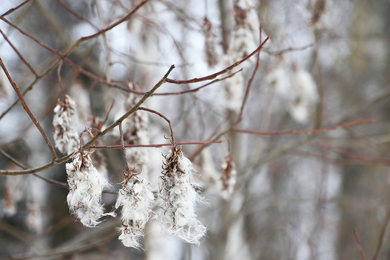0_fd1f0_23695f13_orig