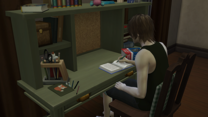 TS4-x64-2019-07-27-00-44-56.png