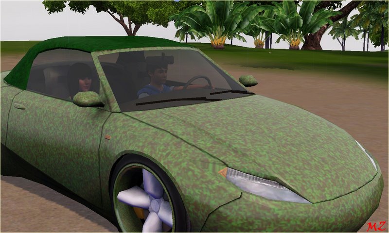783.jpg