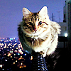 5eedabdb1f76c5a48cc867891ce03249.png