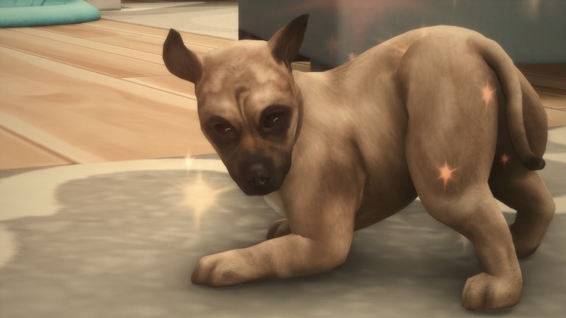 0788312a09b3497a1733e01a04cf5ebf.png