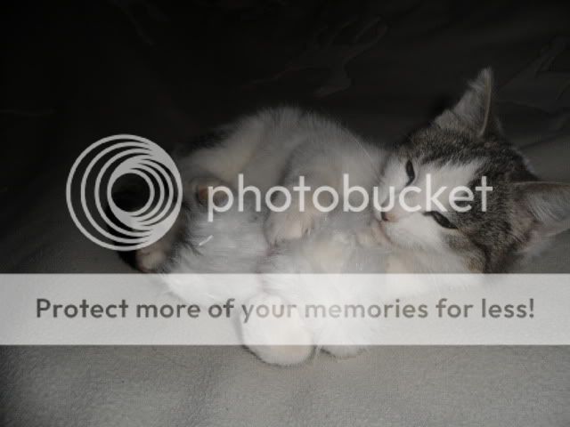 SAM_0226.jpg