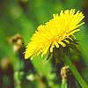 f5b7c6b02feed9c180343e2fb0004896.png