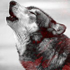Piy0QTN.png