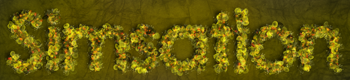 6a2U9.png