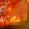 05608903ec8c135ab2a2ad0d24a39c62.png