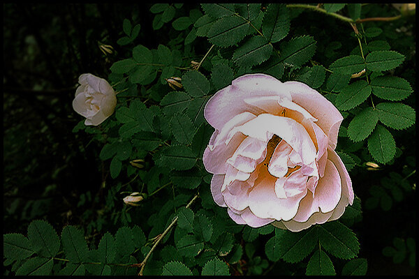 0_d0d73_58765067_XL.jpg