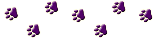 0_1544e2_69fe11ee_L.png