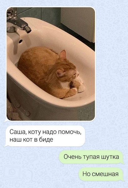 m8mcZc8.jpg