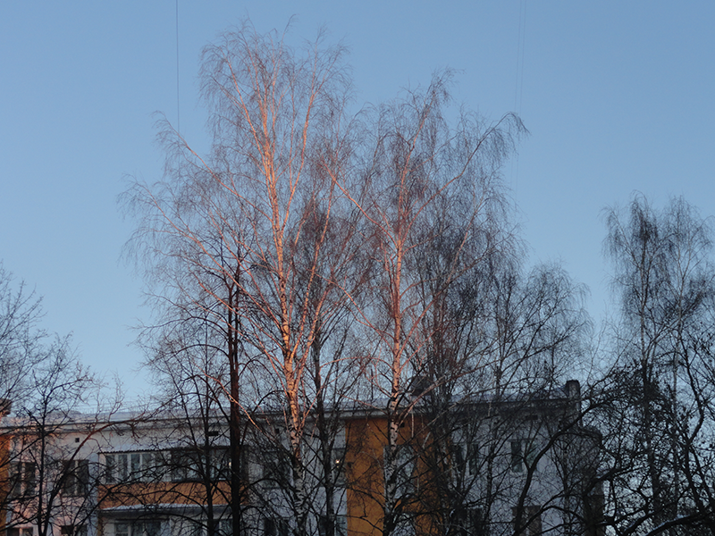 ecda91484d9cd1a2554b2fe6269a0fc7.png