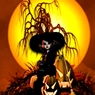 0_e6646_fe8a3ce0_orig.jpg