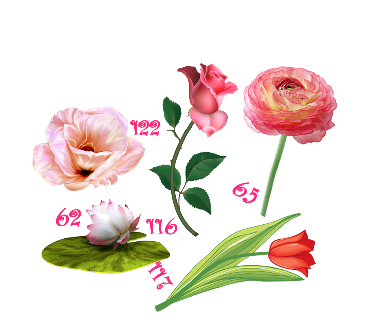 030186c5aa5c145342e0cf3493900e31.png