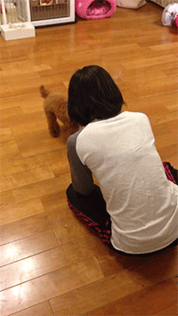 tumblr_nbzi5nILQh1r31n4zo6_250.gif