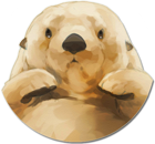 Yp9w4jO.png