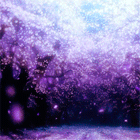 6.gif