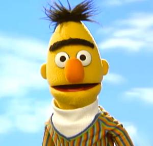 bert.jpg