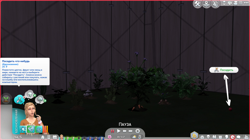 2-22-Plant-It.jpg