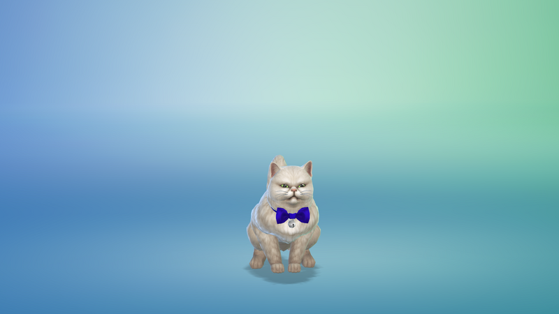 rfKCgm8.png