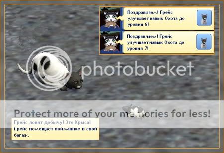 TS3W2011-11-2015-55-42-23.jpg