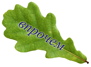 0_153c1b_8e843a32_orig.png
