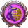 13.png