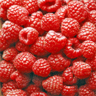 12c67bd4c99e6ea1409d0b2f504e917b.gif