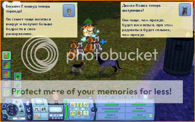 TS3W2012-04-1422-38-15-90_zps21228e10.jpg